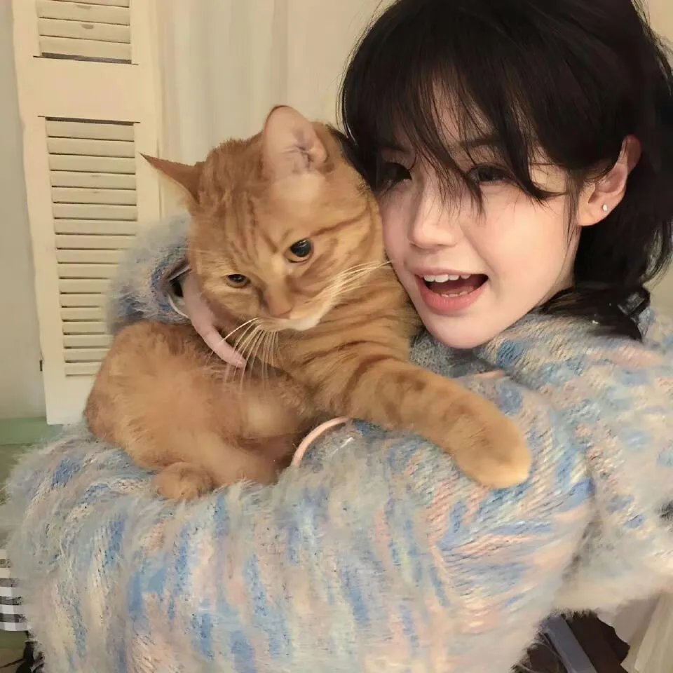 灵域第一季