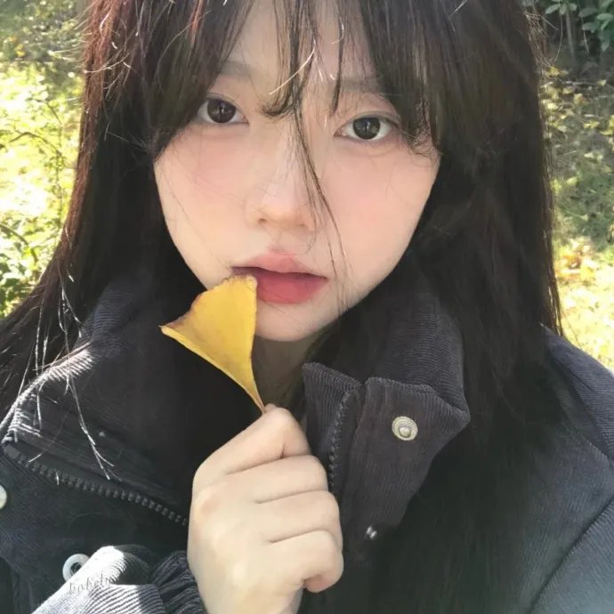 我最爱的女人们 宝藏版
